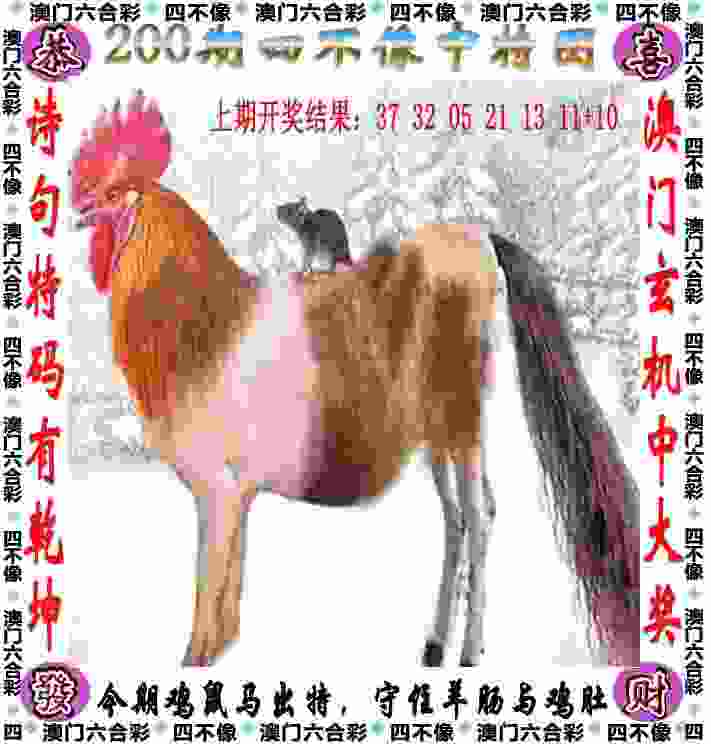 >2025澳门天天开好彩的今日闲情